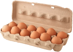 Large Eggs