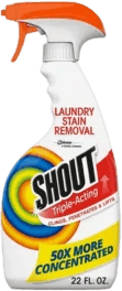 Shout